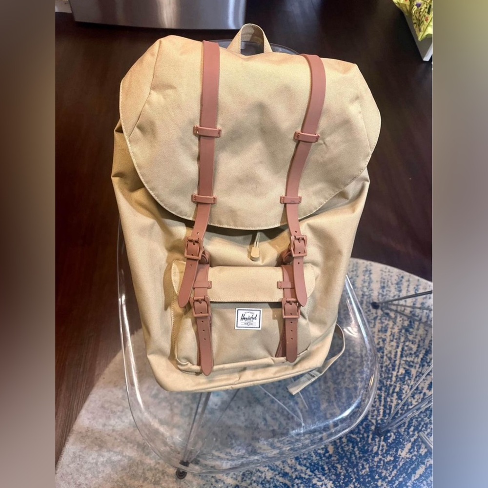 Hershel Large Backpack - image 3